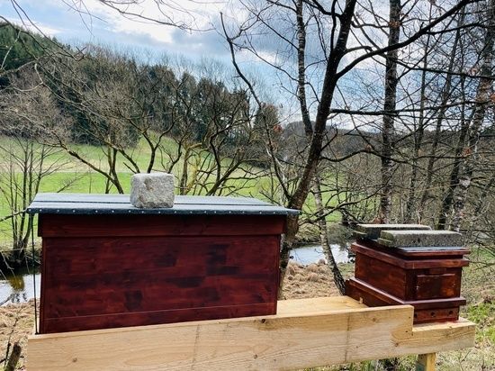 Bienenstock