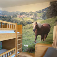 Kinderzimmer mit Stockbett und Pferdetapete im Familotel Landhaus zur Ohe Familienzimmer im Familotel Landhaus zur Ohe