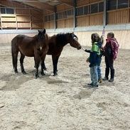 Kinder mit Pferden in Reithalle