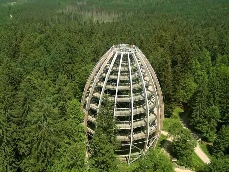 Baumwipfelpfad Bayersicher Wald