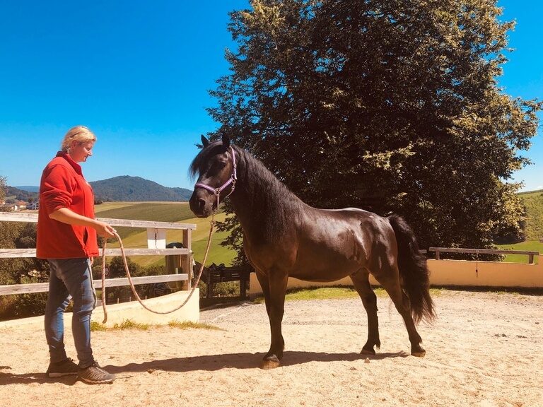 Frau mit schwarzem Pferd am Seil