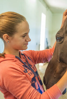 Natural Horsemanship im Landhaus zur Ohe