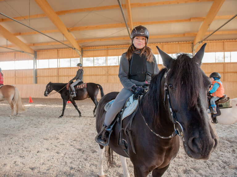Pferde in der Reithalle