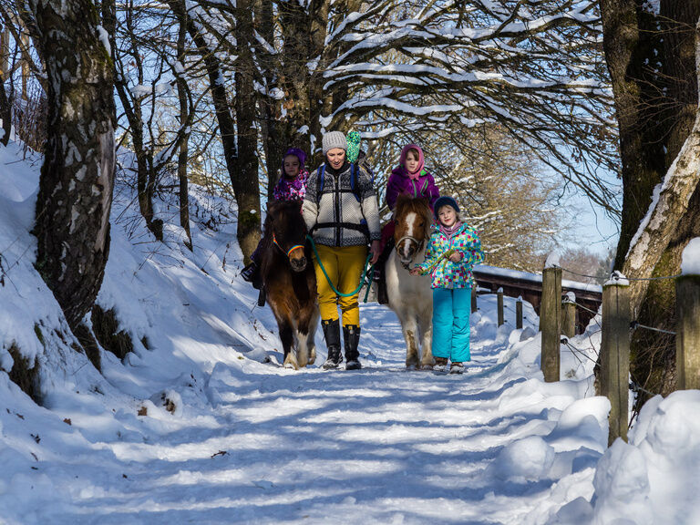 Frau führt 2 Ponys im Winter über Wanderweg, 2 Kinder reiten ein weiteres geht nebenher