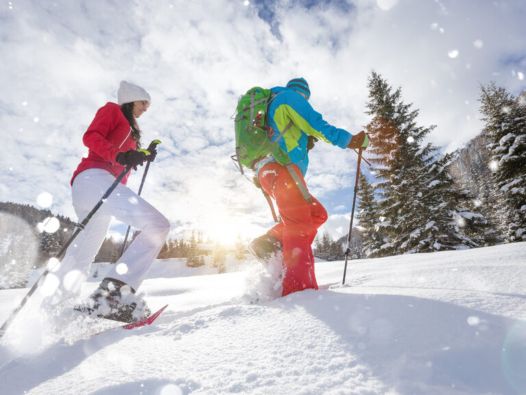 Hundeschlittenfahren