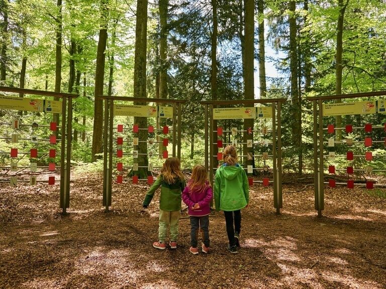 kinder am brotjackelriegelweg