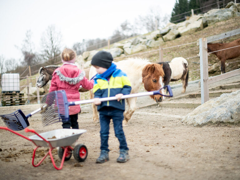 Kinder helfen beim Paddock ausmisten