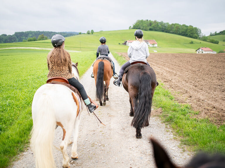 Mädchent reitet Pferd