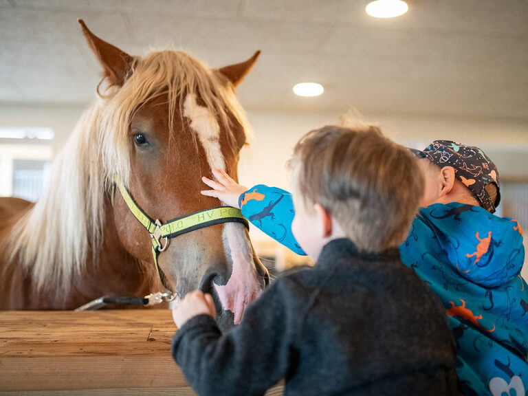 2 Jungs streicheln Pferde