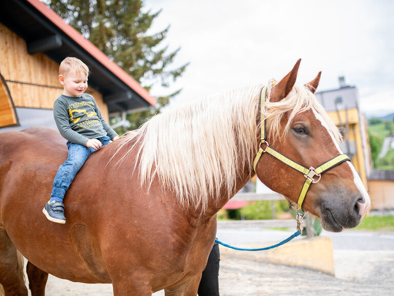 Junge sitzt auf Pferd ohne Sattel