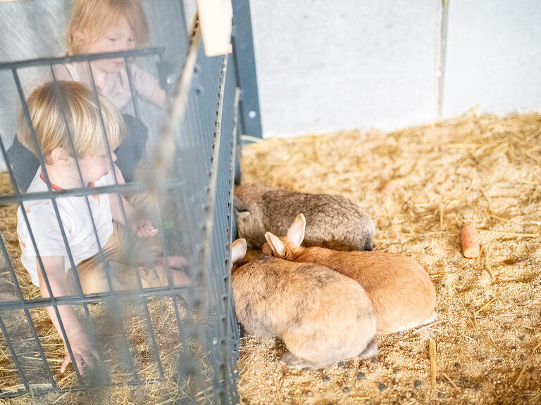 Familienurlaub im Familotel Landhaus zur Ohe
