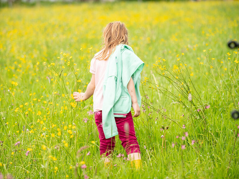 Mädchen steht auf Wiese und lässt die Hand über Gräser streifen