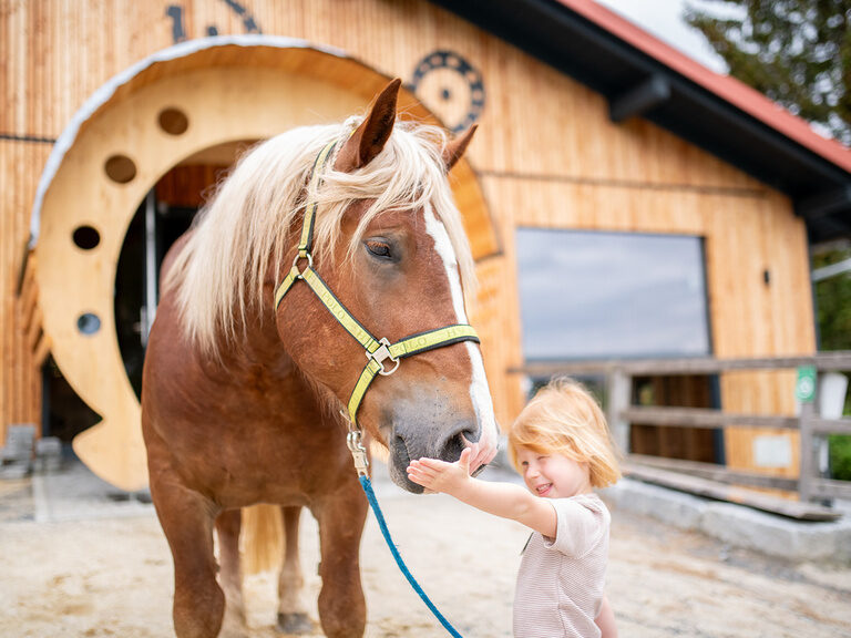Mädchen hält Pferd die Hand vor die Nüstern