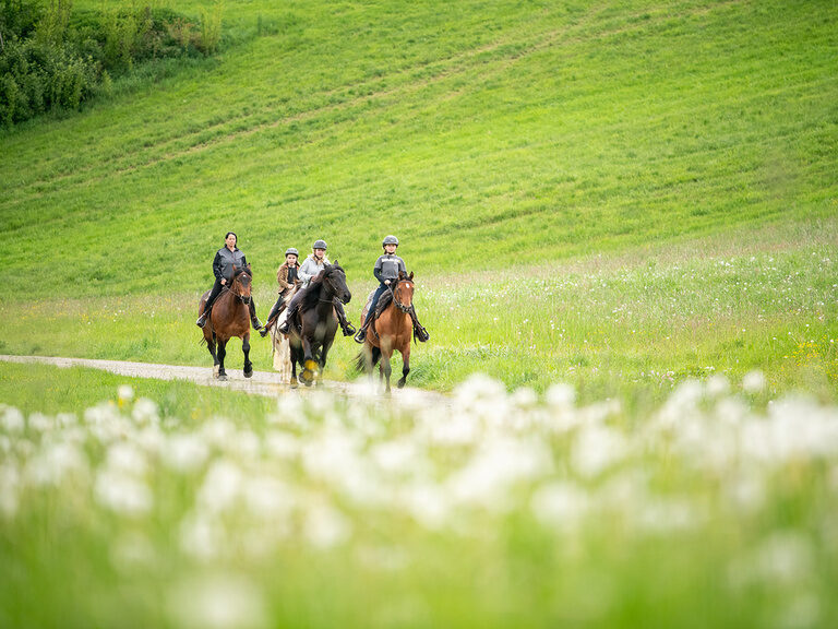 Reiter auf Pferden im Gelände