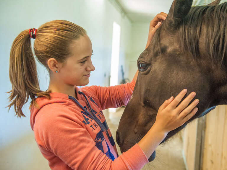 Natural Horsemanship im Landhaus zur Ohe