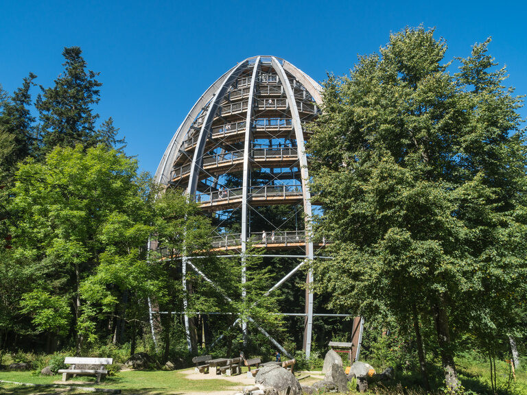 Baumwipfelpad Nationalpark Bayerischer Wald