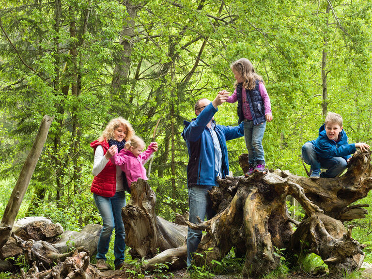 Nationalpark Bayerischer Wald