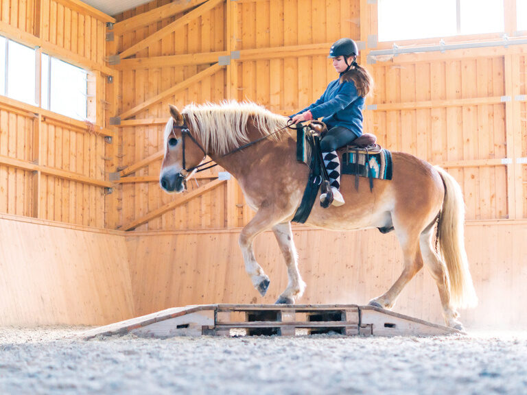 Reiten in der Halle im Landhaus zur Ohe