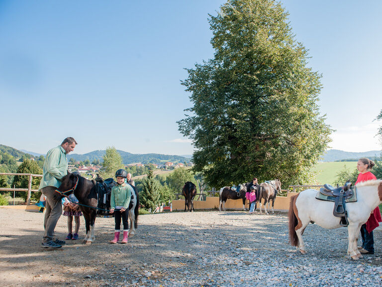 Reiturlaub im Bayerischen Wald